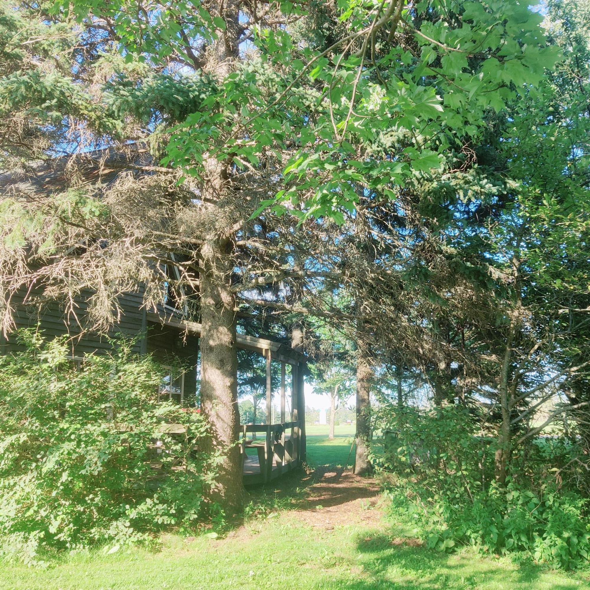 New Glasgow Avonlea Forest Hill Cottages מראה חיצוני תמונה