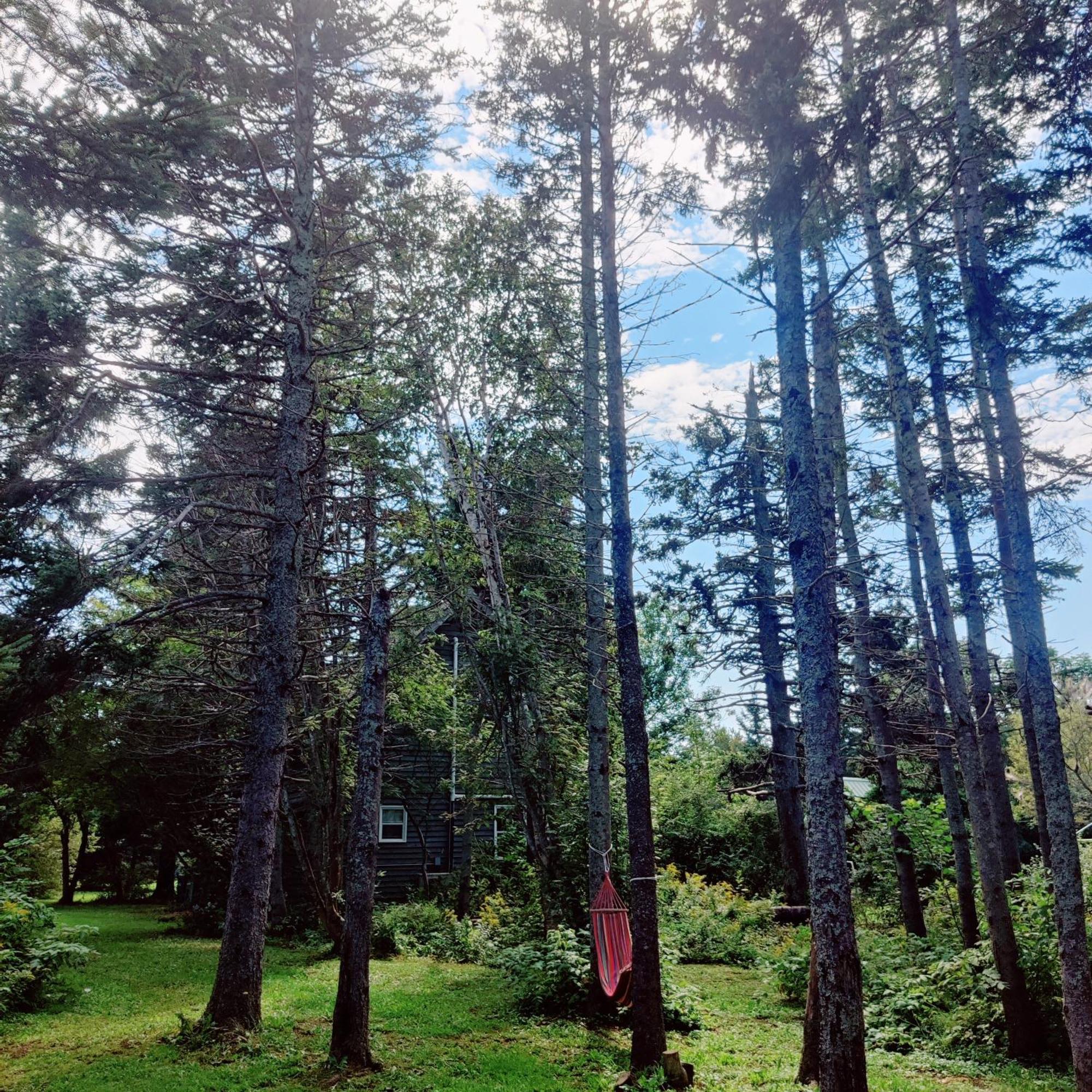 New Glasgow Avonlea Forest Hill Cottages מראה חיצוני תמונה