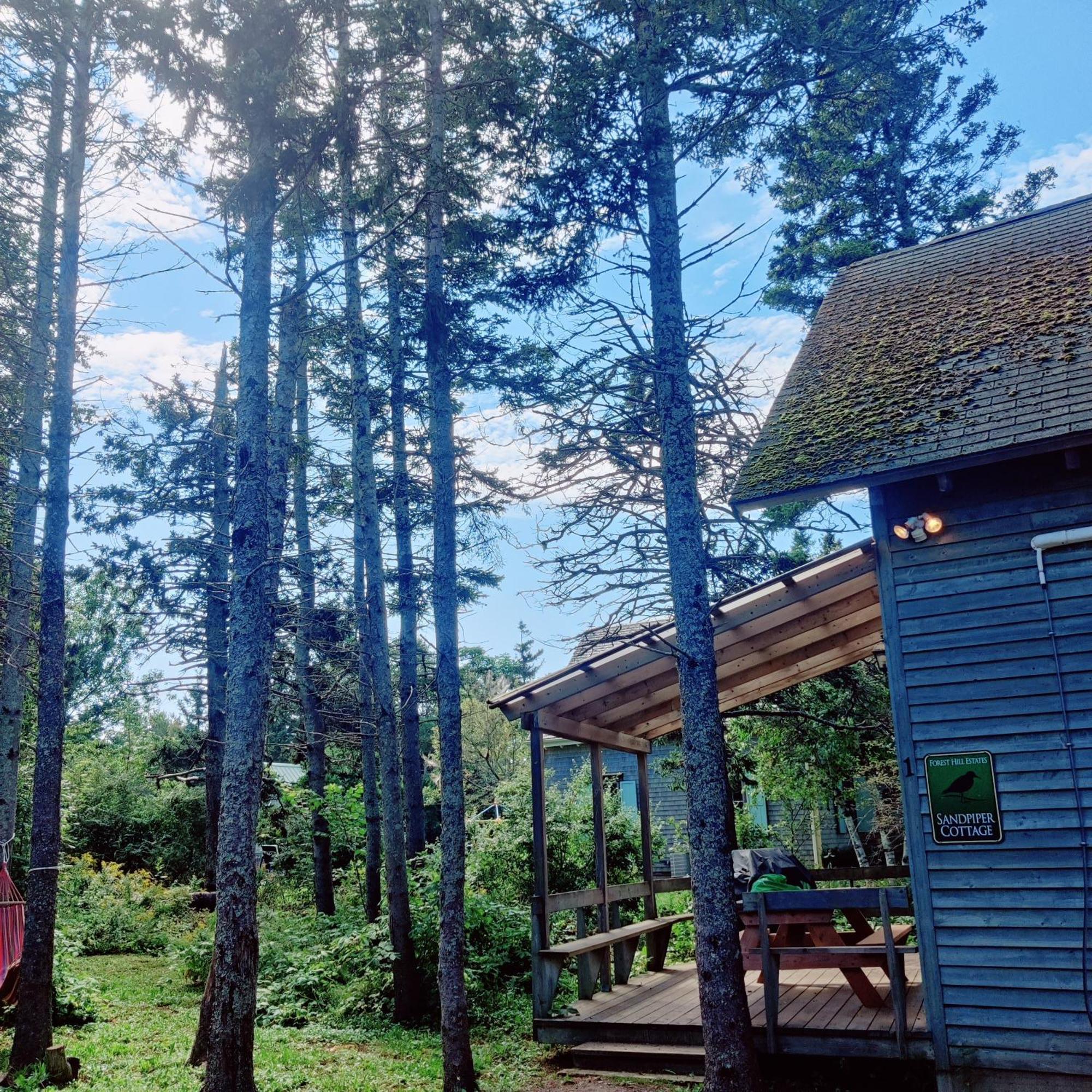 New Glasgow Avonlea Forest Hill Cottages מראה חיצוני תמונה